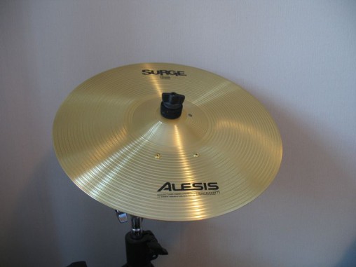 Alesis DM10 Pro Kit - тарелка